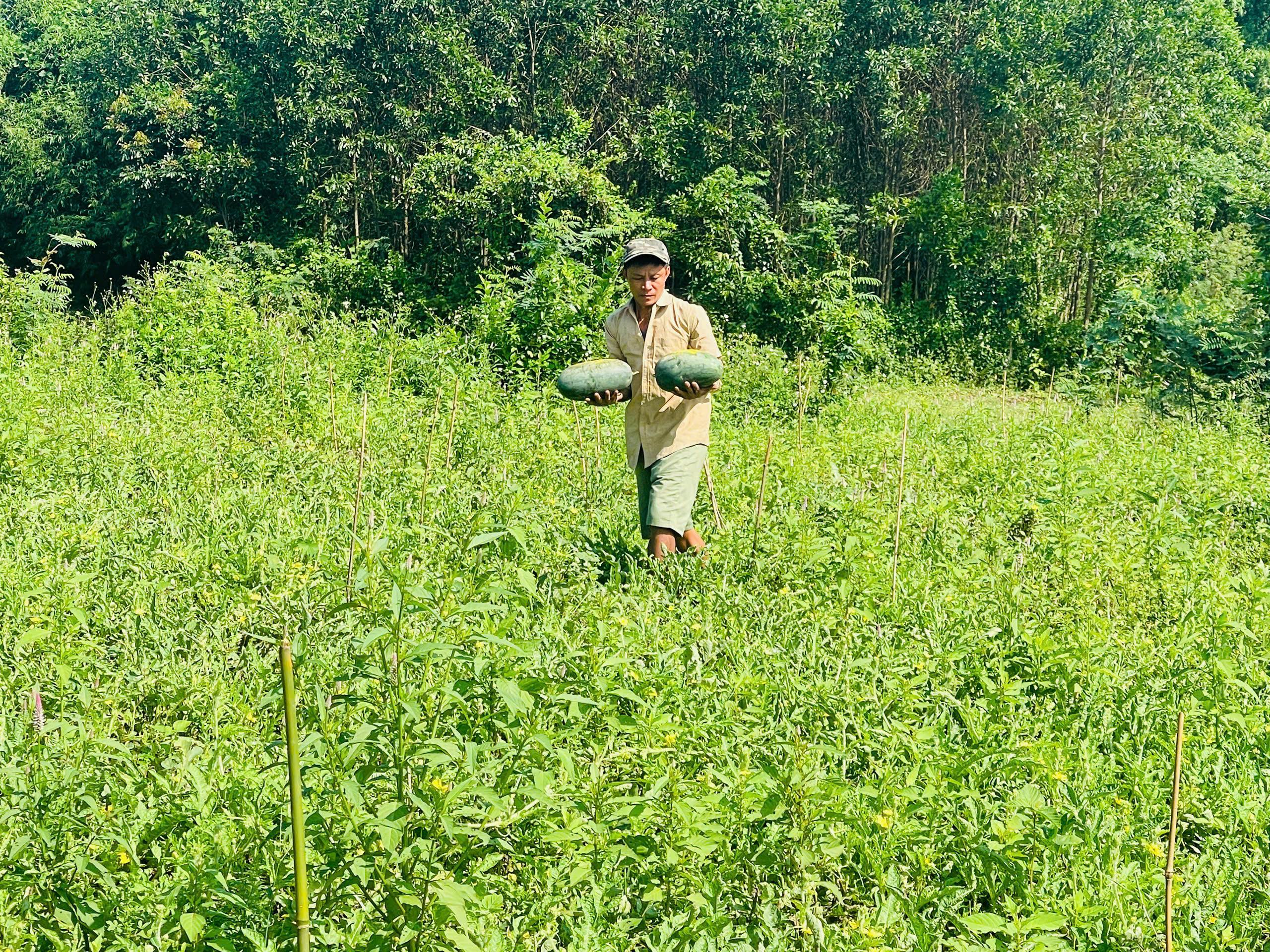 Toàn cảnh lễ phát động